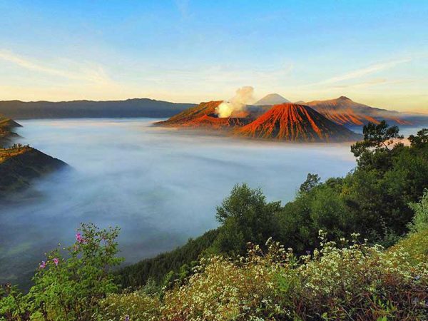 Special Paket Tour Gunung Bromo - Tengger